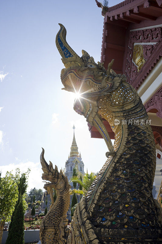 泰国北部神话中的蛇(那加)，在泰国的Doi Mae Salong。